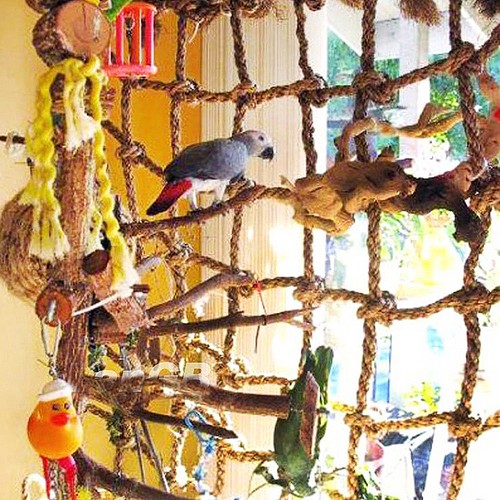 Haustiere vogelschaukel - haustiere,