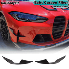 Dry Carbon Front Flossen Flaps