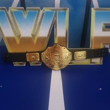 Weltmeisterschaft im