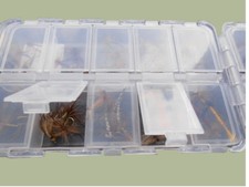 60 Trockenfischen Fliegen in