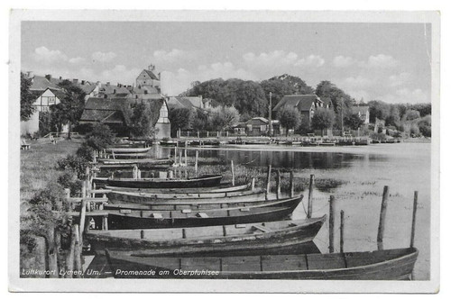 2093 lychen - lychen,