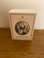 Zoologist Orchid Mantis