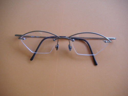 Pure titanium brillenfassung - titanium,