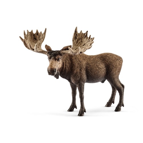 Schleich 14781 elch - schleich, bulle