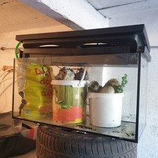 Aquarium 80x35x40cm Glasbecken 112 Liter rechteck Becken Glasaquarium Terrarium