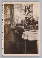 Man Reading Newspaper at