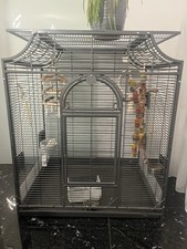 Montana Cages - Madeira I -