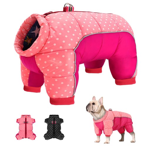 Hunde schneeanzug winter - hunde,
