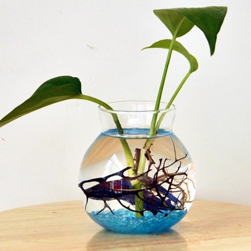 Klarglas blumentopf vase - klarglas,
