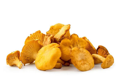 Frische pfifferlinge - frische,