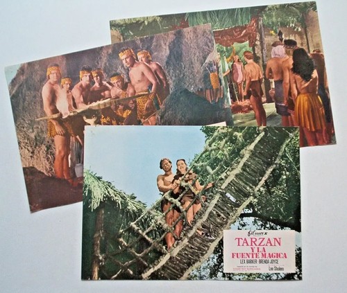 Aushangfotos tarzan und - tarzan,