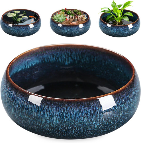 Lotus bonsai schale - lotus, schale,