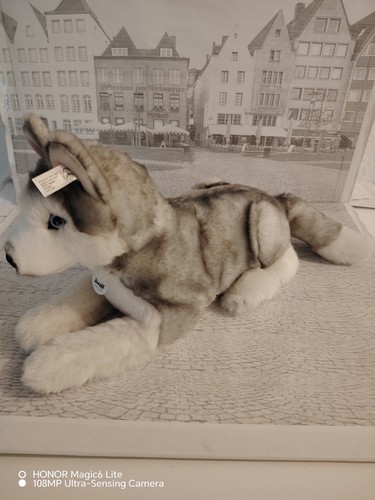 Steiff husky liegend cm - steiff,