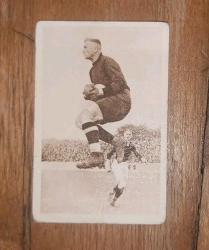 113 monopol sportphoto - monopol,