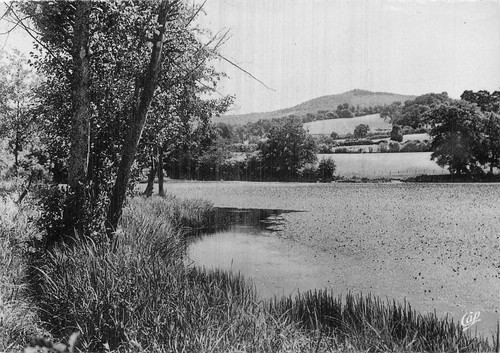 Saint honore les - saint,