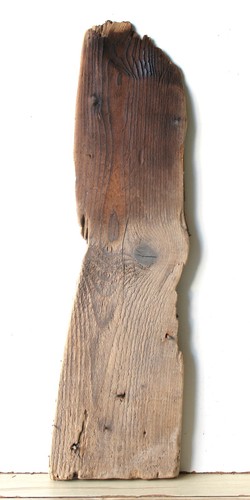 Treibholz schwemmholz - treibholz,