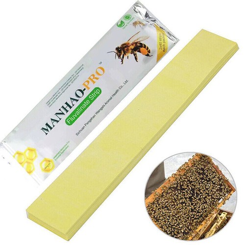 80xstreifen bee biene tötung - bee,