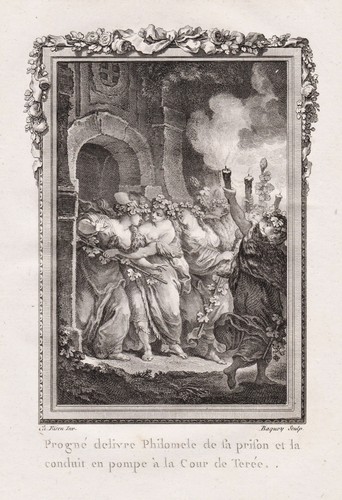 Philomele procne prokne - procne,