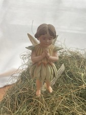 The Original Flower Fairies - Flower Fairy Weißer Klee