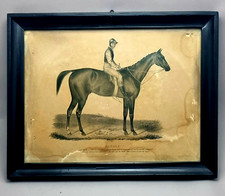 Vintage Lithographie Pferd