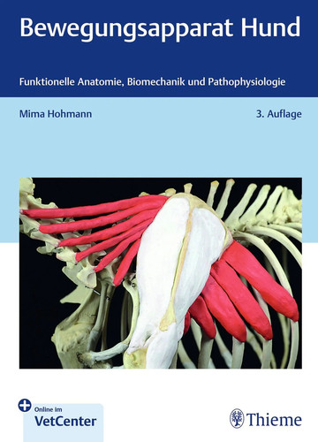 Bewegungsapparat hund mima - hund, |