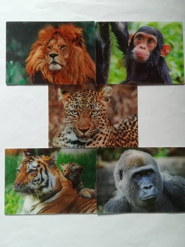 Ansichtskarte tiere - 3,