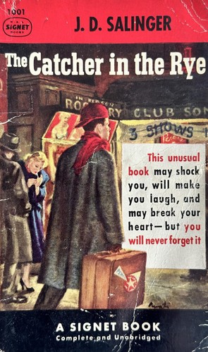 Buch salinger the catcher - buch,