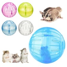 Chinchilla Clear Ball Hamster