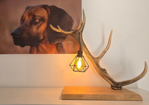 Rothirsch stehlampe bürolampe - stehlampe,