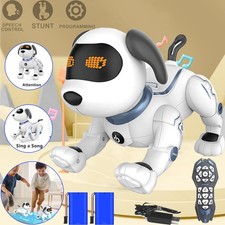 Ferngesteuertes Roboter