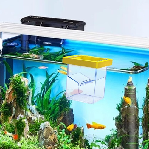 Schwimmende fischzuchtbox - schwimmende,