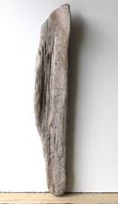 Treibholz Schwemmholz