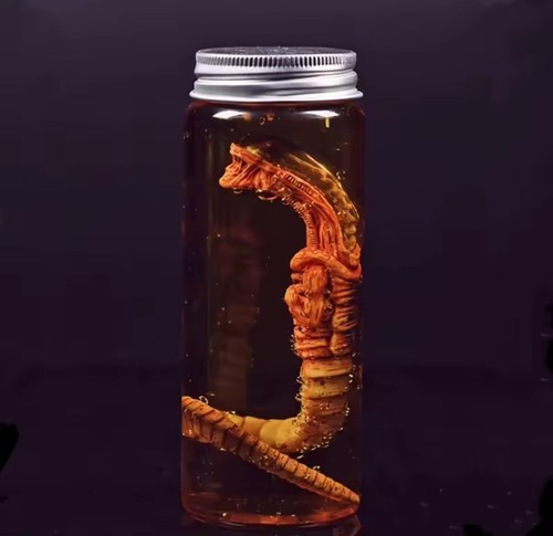 Alien jar xenomorph specimen - alien,