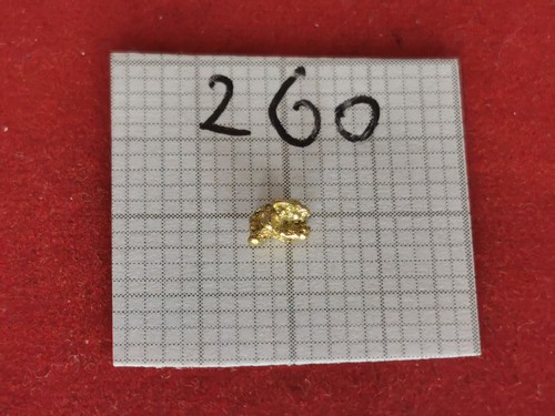 260 goldnugget alaska - goldnugget, yukon