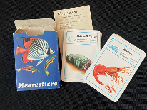 Komplettes lehrquartett ddr - komplettes,