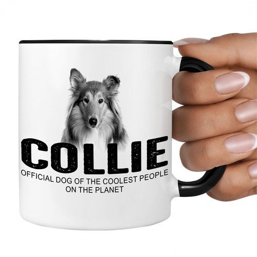 Collie langhaarcollie hund - collie,