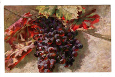 19627 - Kunst * Stillleben * Weinrebe