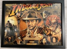 Indiana jones pinball - indiana,