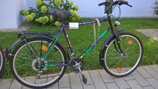 Holland city fahrrad - holland, fahrrad-herren
