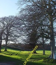 Foto 6x4 Sheringham Park Bäume und einige Silvester &#039;s Eve Sonnenschein von c2015