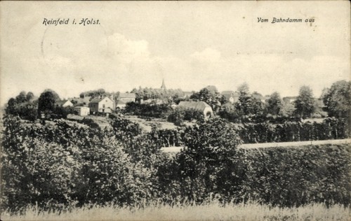 Reinfeld holstein - in,