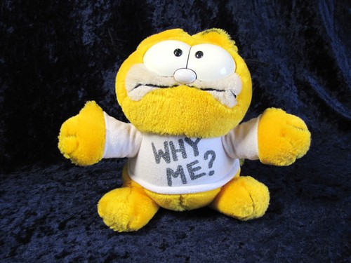 Original garfield why me - ,