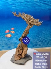 ⛩️ "ASIA MYSTIC WOOD" Aquarium Wurzel Bäumchen auf Schieferplatte