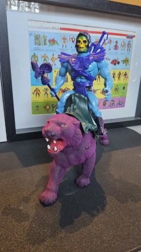 Skeletor panthor motu - +,