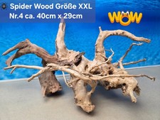 👋XXL Moorkien - Spiderwood