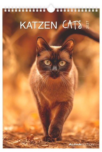 Katzen 2027 wandkalender - 2027,