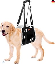 Weiche Hunde Tragehilfe -