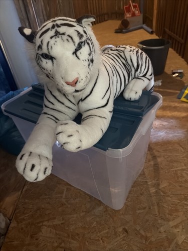 Weißer tiger königstiger - weißer,