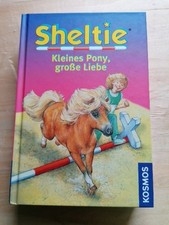 Sheltie - Kleines Pony, große Liebe