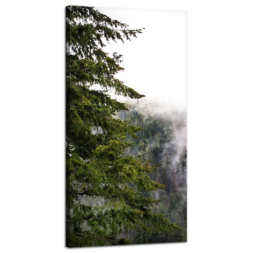 Leinwanddruck natur berge - natur,